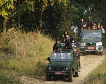 Jeep Safari in Chitwan