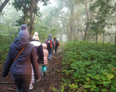 Jungle Walk in Chitwan