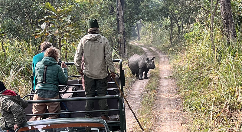 Jeep Safari inside Chitwan National Park