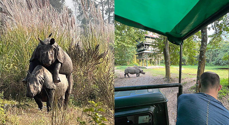 Jeep Safari inside National Park