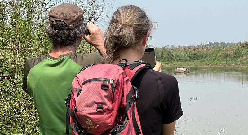 Marsh Jungle walk
