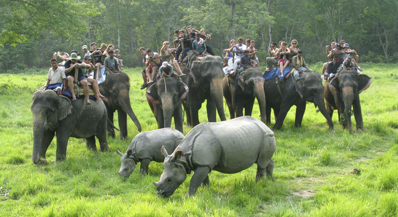 Chitwan Jungle Walk