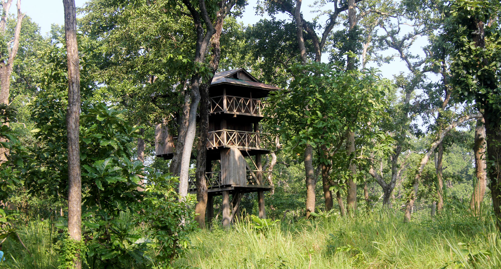 Tower inside Chitwan Jungle