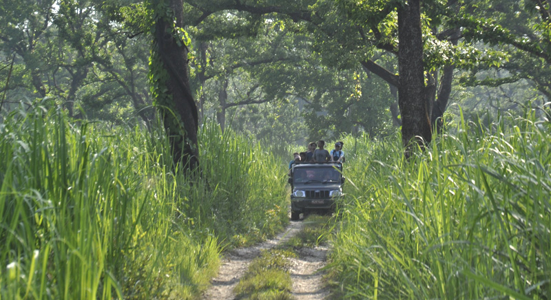 Jeep Safari inside National Park