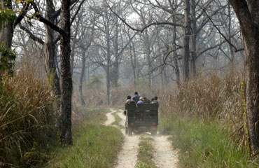 Jeep Safari