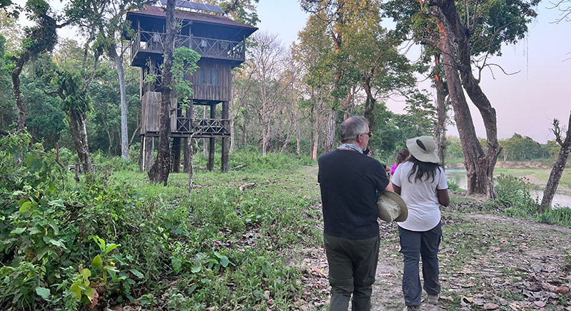 Machan tower - Chitwan