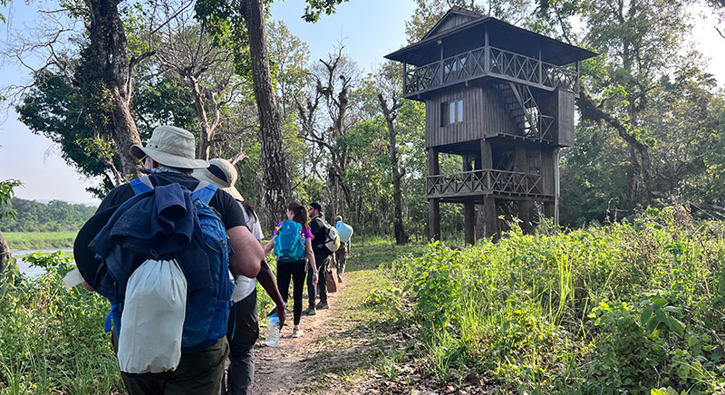 Machan tower - Chitwan